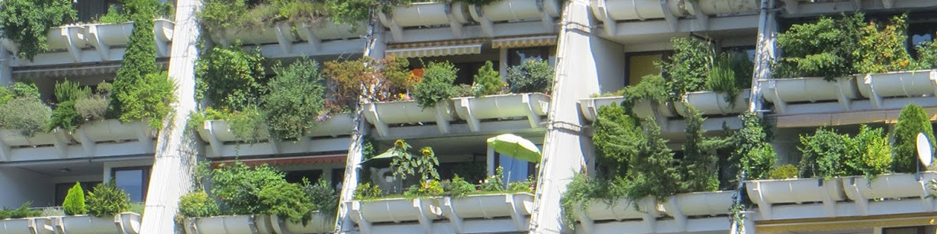 Protect our democracy