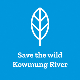 Save the Kowmung river