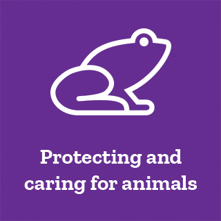 End cruelty to animals campaign